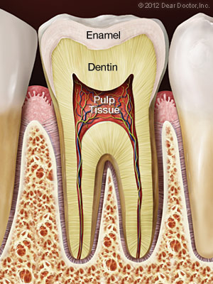 Example of a healthy tooth